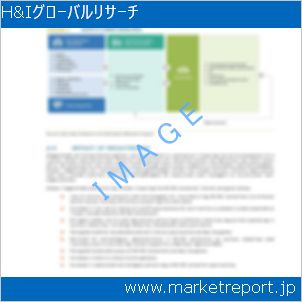 市場と産業調査レポートのイメージ